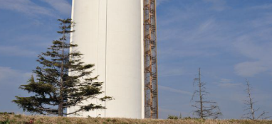 中央第一生態環境保護督察組向河北省反饋督察情況