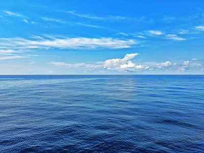 國際環保展|東海啟動生態休漁期 多部門聯合守護海洋生命線