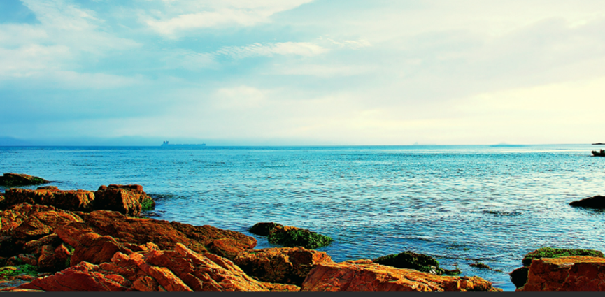 國際環保展|碧海金沙間的生態復興——中國最北海岸線治理紀實